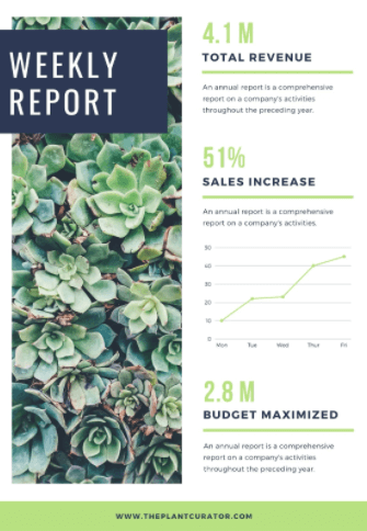 Example weekly sales report template