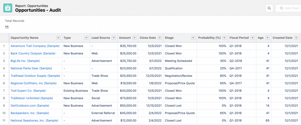 Salesforce Essentials Opportunity Audit Example