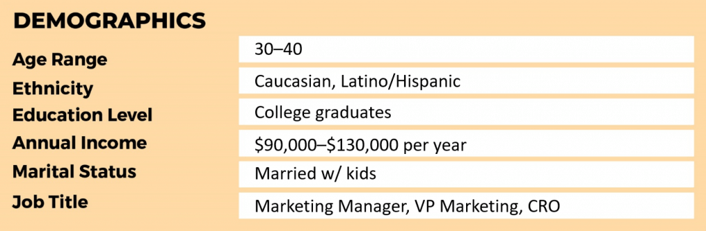 Customer profile template example demographic data