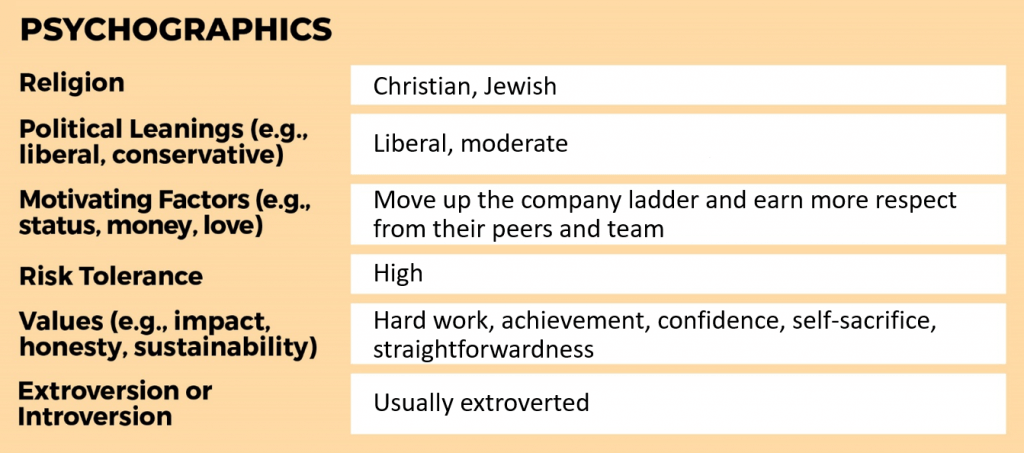 Customer profile template example psychographic data