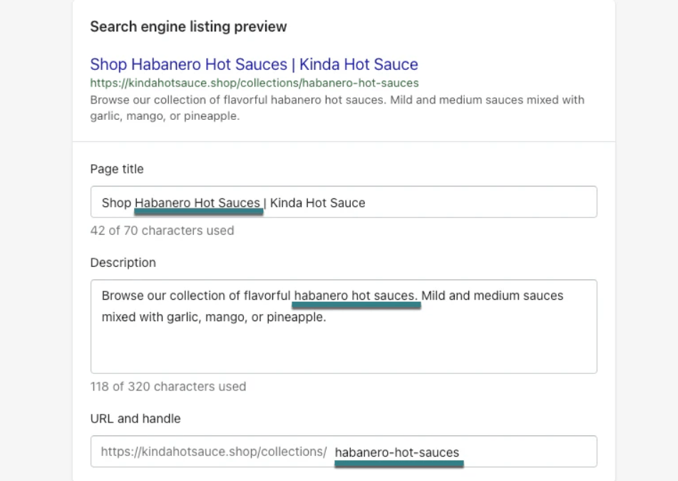 Shopify search engine listing preview with page title, description, and customizable URL.